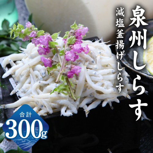 【お試し】しらす漁師が自らお届け！真面目漁師 濱ちゃんのこだわり 減塩 釜揚げしらす 300g 小分け 150g×2P G2864 2175522 - 大阪府泉佐野市