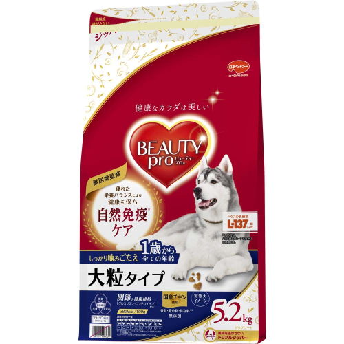 ビューティープロ ドッグ 大粒タイプ 1歳から 5.2kg ｘ1(ケース単位) ドッグフード 2175542 - 静岡県袋井市