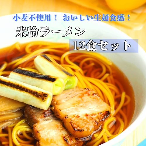 グルテンフリー　富山県産米粉　アレンジ　もちもち「米粉ラーメン12食セット」※北海道・沖縄・離島への配送不可 2175705 - 富山県魚津市