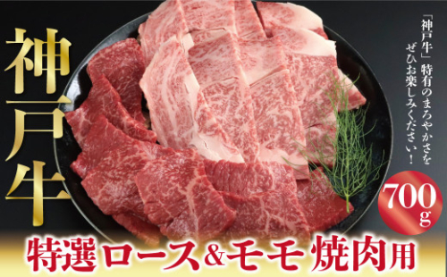 神戸牛 特選ロース＆モモ 焼肉用 700g A4ランク以上 ロース 霜降り もも モモ 赤身 神戸牛 但馬牛 国産 和牛 黒毛和牛 焼肉 217577 - 兵庫県朝来市