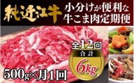 肉 近江牛 定期便【年12回】純近江牛 小分けが便利な牛こま肉 計6kg ( 500g × 12回 )