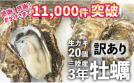 【7月お届け】三陸産 『 殻付き牡蠣 (生食用)』20個 【訳あり/規格外品】※感謝！ 11,000件突破！【 訳あり 天然 牡蠣 かき 殻付き 生食 焼き牡蠣 蒸し牡蠣 人気 国産 陸前高田 三陸産 広田湾産 小友 マルテン水産 】
