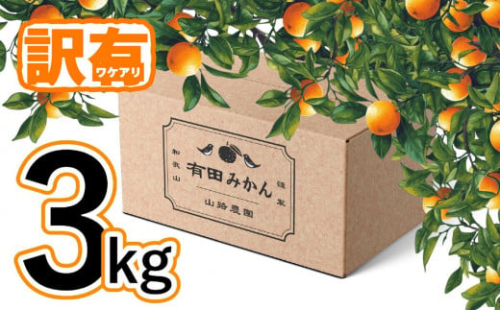 【訳あり】有田みかん 約3kg 家庭用 2176267 - 和歌山県有田川町