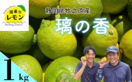 事前受付 牧之原産 波乗りレモン 璃の香 1kg 国産 Lemon 檸檬 柑橘類 柑橘 フルーツ 果物 酸っぱい 果肉 酸味 防腐剤不使用 静岡県 牧之原市