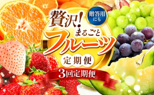 【 定期便 3回 】【フルーツ定期便】高評価 果物 フルーツ 選べる発送回数 （いちご みかん 不知火 スイカ ぶどう メロン シャインマスカット 梨 柿 アイス クレープ） 2回 ~ 12回 1年 フルーツ定期 フルーツ定期便 果物定期便 果物定期 定期便 フルーツ 果物 お試し 旬 取れたて  熊本県 玉名市