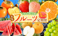【 定期便 3回 】 まるごと 堪能 ！ 人気 フルーツ |（ いちご 白いちご みかん 不知火 デコポン スイカ メロン ぶどう シャインマスカット 梨 柿 果物 ） フルーツ定期 フルーツ定期便 果物定期便 果物定期 定期便 フルーツ 果物