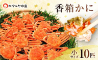 石川県産 香箱蟹 せいこ 小サイズ 10匹 詰合せ 12月16日～12月26日発送 F6P-2769