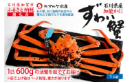 【1月20日～3月31日発送】【先行予約】【冷蔵発送】石川県産 加能かに ズワイガニ ( 産地証明タグ付 ) 茹で上げ前重量 約600g 1匹 中サイズ F6P-2749 クラウドファンディング 実施中 GCF