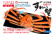 【1月20日～3月31日発送】【先行予約】【冷蔵発送】石川県産 加能かに ズワイガニ ( 産地証明タグ付 ) 茹で上げ前重量 約700g 1匹 大サイズ F6P-2752 クラウドファンディング 実施中 GCF