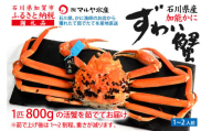 [1月20日〜3月31日発送][先行予約][冷蔵発送]石川県産 加能かに ズワイガニ ( 産地証明タグ付 ) 茹で上げ前重量 約800g 1匹 特大サイズ F6P-2755 クラウドファンディング 実施中 GCF