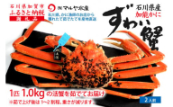 【11月10日～12月15日発送】【先行予約】【冷蔵発送】石川県産 加能かに ズワイガニ ( 産地証明タグ付 ) 茹で上げ前重量 約1.0kg 1匹 特大サイズ F6P-2759 クラウドファンディング 実施中 GCF
