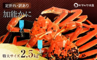 石川県産 加能かに ズワイガニ ( 産地証明タグ付 ) 訳あり 足折れ 特大サイズ 2～3匹 合計2.5kg 11月10日～12月15日発送 産地証明 訳あり 家庭用 自宅用 足折れ 先行予約 予約 ブランド蟹 ボイル 茹で 蟹 復興 震災 コロナ 能登半島地震復興支援 北陸新幹線 F6P-2787 クラウドファンディング 実施中 GCF