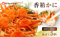 石川県産 香箱蟹 せいこ 訳あり 小さめ 5匹 詰合せ 12月16日～12月26日発送 F6P-2773