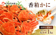 石川県産 香箱蟹 せいこ 訳あり 大きめ 1kg 5～6匹 詰合せ 11月10日～12月15日発送 F6P-2774