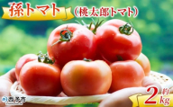＜孫トマト（桃太郎トマト）約2kg＞ トマト とまと 2キロ 孫トマト 大玉 愛媛県産 西予市産 食品 桃太郎トマト 桃太郎 野菜 やさい サラダ 産地直送 国産 城川 吉岡農園 愛媛県 西予市【常温】