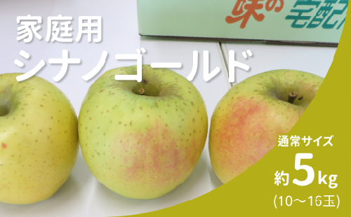KR13-25A りんご ぐんま名月 家庭用 通常サイズ 約5㎏（10～16玉） / 11月上旬頃～配送予定 // 長野県 南信州 リンゴ 林檎 名月 訳あり 自家用 農家直送 農家支援 産地直送 2177232 - 長野県松川町