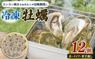 殻付かきのカンカン焼きおかわり用 加熱用 大12個 冷凍 かき 牡蠣 カキ  オイスター oyster アヒージョ バーベキュー BBQ フライ 揚げ物 鍋 ごはん 夕飯 おかず おつまみ 晩酌 米 丼 海産物 海鮮 魚介 魚介類 贈答品 お中元 お歳暮 大船渡 三陸 岩手県 国産