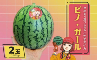 こだまスイカ「ピノ・ガール」2玉（約2kg×2玉）