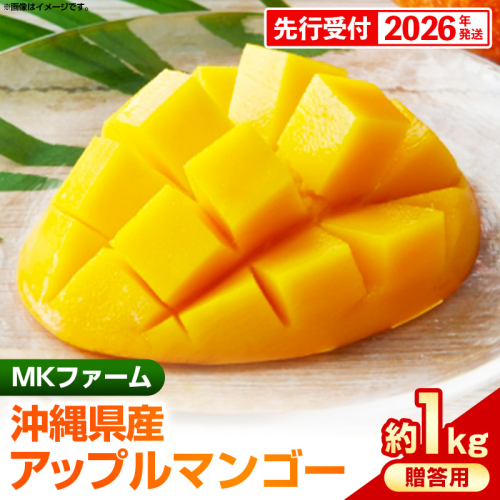 【先行受付】【2026年発送】MKファームの贈答用アップルマンゴー約1kg【贈答用】- 贈答用 ギフト 先行予約 沖縄県産 産地直送 南国フルーツ 旬の味覚 アップルマンゴー オススメ 沖縄県 八重瀬町 2177396 - 沖縄県八重瀬町