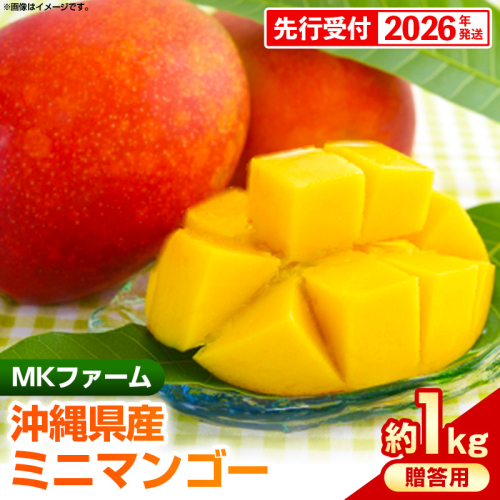 【先行受付】【2026年発送】MKファームの贈答用ミニマンゴー約1kg【贈答用】- 贈答用 ギフト 先行予約 沖縄県産 産地直送 南国フルーツ 旬の味覚 ミニマンゴー オススメ 沖縄県 八重瀬町 2177397 - 沖縄県八重瀬町