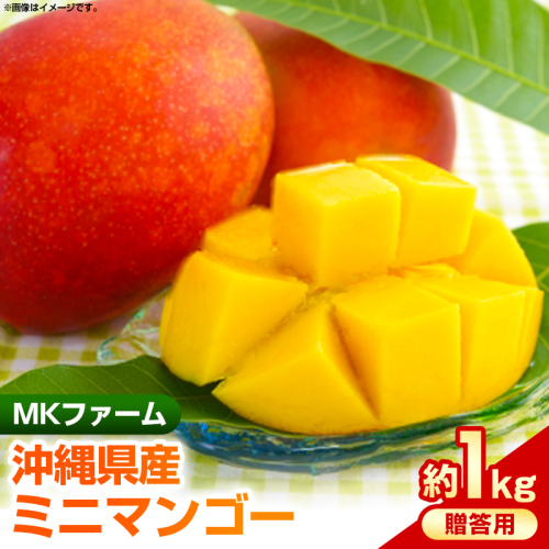 【2025年発送】MKファームの贈答用ミニマンゴー約1kg【贈答用】- 贈答用 ギフト 沖縄県産 産地直送 南国フルーツ 旬の味覚 ミニマンゴー オススメ 沖縄県 八重瀬町 2177397 - 沖縄県八重瀬町