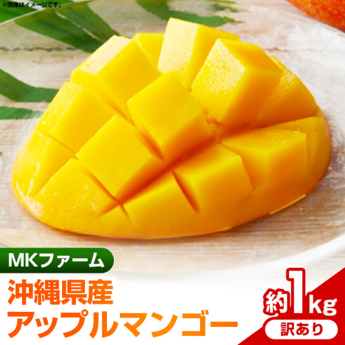 【2025年発送】MKファームの訳ありアップルマンゴー約1kg【訳あり】- 訳アリ 沖縄県産 産地直送 南国フルーツ 旬の味覚 アップルマンゴー オススメ 沖縄県 八重瀬町 2177398 - 沖縄県八重瀬町