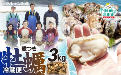 【令和8年4月後半発送】【訳あり・数量限定】 生食用 殻付き牡蠣 約3kg 【 牡蠣 かき カキ 殻付き 生食 真牡蠣 冷蔵 国産 三陸産 広田湾 マルテン水産 】 RT2794 2177506 - 岩手県陸前高田市