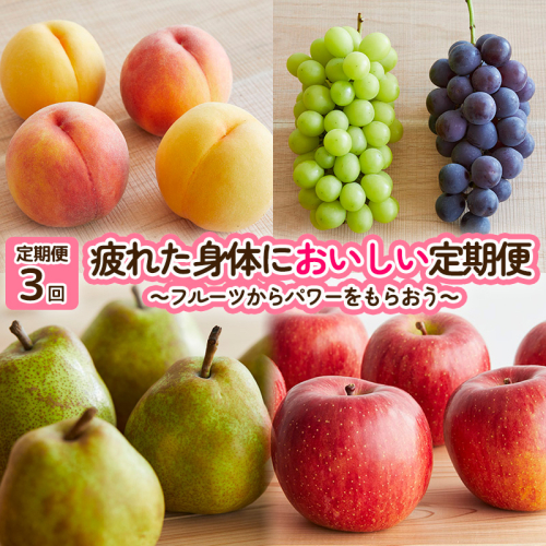【定期便3回】疲れた身体においしい定期便　～フルーツからパワーをもらおう～ FY25-253 2177583 - 山形県山形市