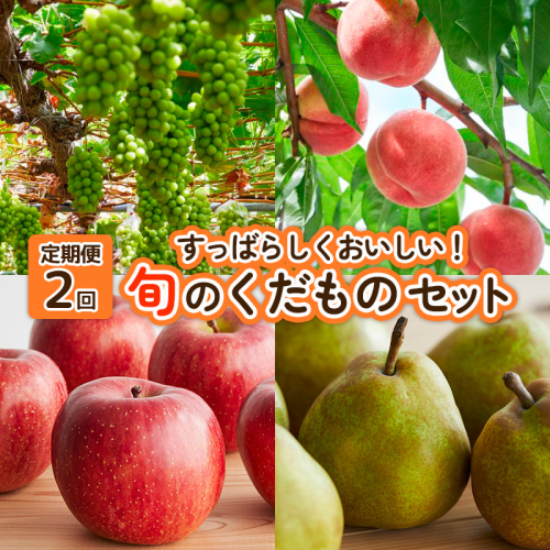 【定期便2回】すっばらしくおいしい！旬のくだものセット FY25-254 2177585 - 山形県山形市