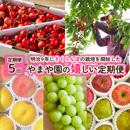 【定期便5回】明治9年にさくらんぼの栽培を開始したやまや園の嬉しい定期便 FY25-256 2177594 - 山形県山形市