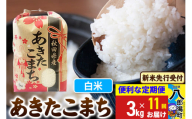 《令和7年産 新米受付》《定期便11ヶ月》あきたこまち 3kg×1袋【白米】令和7年産 秋田県産 こまちライン