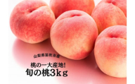 【2026年発送★先行予約】桃の一大産地！笛吹市産旬の桃3kg 167-011-26y