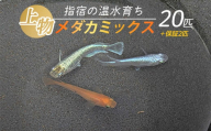 【10営業日以内に発送】【温水育ち】上物メダカミックス20匹(otofarm/010-1958) ※北海道・沖縄・離島配送不可※ メダカ 生体 ミックス 成魚 飼育 ペット 生き物 魚 初心者 観賞魚 水槽 アクアリウム