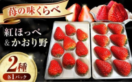いちご[2026年1月以降順次発送]先行予約 産地直送 [紅ほっぺ・かおり野]2パックセット 計270g以上[びんごファーム]紅ほっぺ かおり野 いちご 苺 イチゴ 紅ほっぺ かおり野 フルーツ 果物 産地直送 先行予約 2パックセット 計270g以上 おすすめ 人気 旬 季節限定 デザート スイーツ 贈り物 ギフト 贈答 新鮮 甘い 大粒 お取り寄せ 完熟 ジューシー 福山市 [BAFY001]