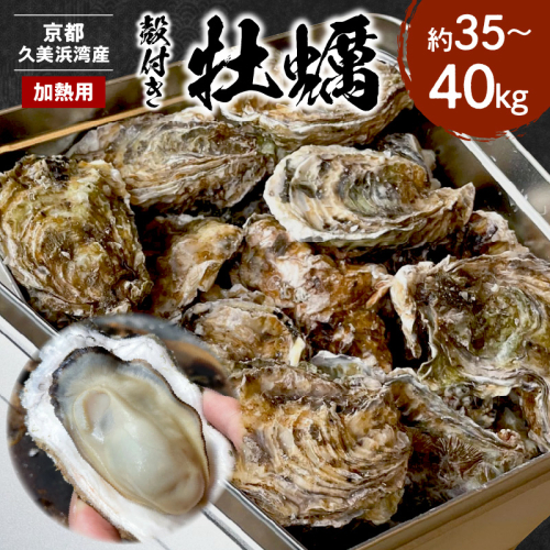 京都・京丹後産牡蠣　約35～40個
 2178117 - 京都府京丹後市