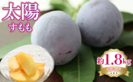 【2026年発送★先行予約】太陽（すもも）　約1.8kg 222-003-26y
