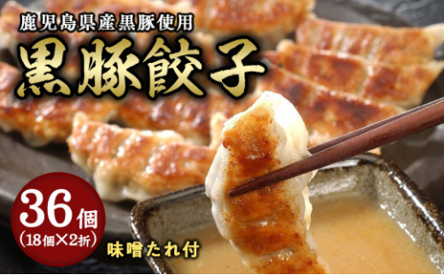 芦屋 伊東屋謹製「黒豚餃子」2折セット（味噌タレ付き）＜お中元 到着目安7月下旬＞【餃子 ぎょうざ ギョーザ 中華 点心 惣菜 おかず おつまみ 冷凍総菜 ジューシー 肉汁 鹿児島産 黒豚 国産豚肉 豚肉 もちもち皮 肉汁たっぷり 冷凍 イトー屋 お取り寄せ ギフト お中元 お歳暮】 2178269 - 兵庫県芦屋市