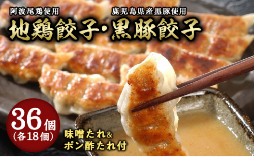 芦屋 伊東屋謹製「黒豚餃子・地鶏餃子」各1折セット (たれ付) ＜お中元 到着目安7月下旬＞【ぎょうざ ギョーザ 中華 点心 惣菜 簡単 おうち おかず おつまみ 鹿児島産 豚肉 国産豚肉 鶏肉 地鶏 もちもち皮 ジューシー 肉汁 冷凍 食べ比べ イトー屋 お取り寄せ ギフト お中元 お歳暮 2178271 - 兵庫県芦屋市