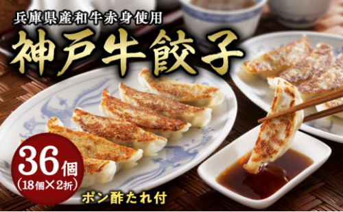 芦屋 伊東屋謹製「神戸牛餃子」2折セット (ポン酢タレ付き付) ＜お中元 到着目安7月下旬＞【餃子 ぎょうざ ギョーザ 中華 点心 惣菜 簡単 おうち おかず おつまみ 神戸牛 国産牛 牛肉 もちもち皮 ジューシー 肉汁 冷凍 イトー屋 お取り寄せ ギフト お中元 お歳暮 2178273 - 兵庫県芦屋市