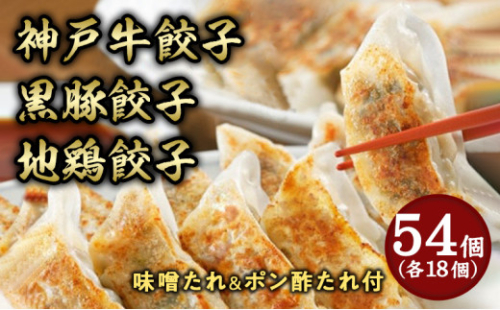 芦屋 伊東屋謹製「神戸牛餃子・黒豚餃子・地鶏餃子」各1折セット (たれ付) ＜お中元 到着目安7月下旬＞【ぎょうざ ギョーザ 中華 点心 惣菜 簡単 おうち おかず おつまみ 牛肉 豚肉 鶏肉 もちもち皮 ジューシー 肉汁 冷凍 食べ比べ イトー屋 お取り寄せ ギフト お中元 お歳暮 2178277 - 兵庫県芦屋市
