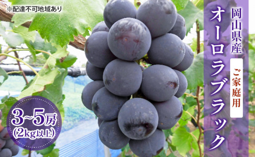 【2025年先行予約】【ご家庭用】ぶどう 岡山県産 オーロラブラック （ 種無し ） 2kg以上（3～5房） 《2025年9月上旬-中旬頃出荷》 葡萄 ブドウ フルーツ 数量限定 岡山 里庄町 2178312 - 岡山県里庄町