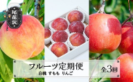 フルーツ定期便 全3回 白桃 すもも りんご 秀品 李 もも 桃 リンゴ 林檎 サンフジ 山形 東北 国産 くだもの フルーツ 果樹 定期便 お取り寄せ 2025年産 令和7年産 送料無料 ※沖縄・離島への配送不可 sb-fthpl3※沖縄・離島への配送不可