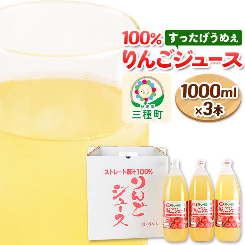 りんごジュース 1,000ml×3本 果汁100％ ストレート 2178629 - 秋田県三種町