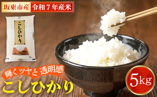 No.848 令和7年産　こしひかり5kg【坂東市産】 ／ コシヒカリ お米 こめ 茨城県 2178643 - 茨城県坂東市