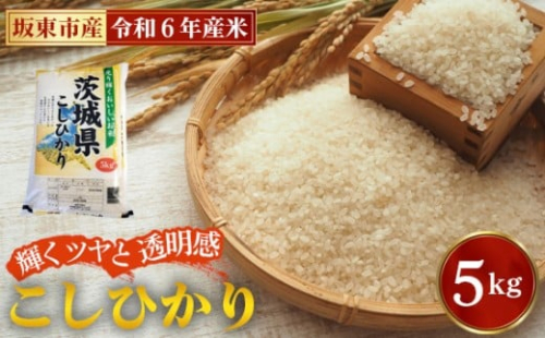 No.848 令和6年産 こしひかり5kg【坂東市産】 / コシヒカリ お米 こめ 茨城県 2178643 - 茨城県坂東市
