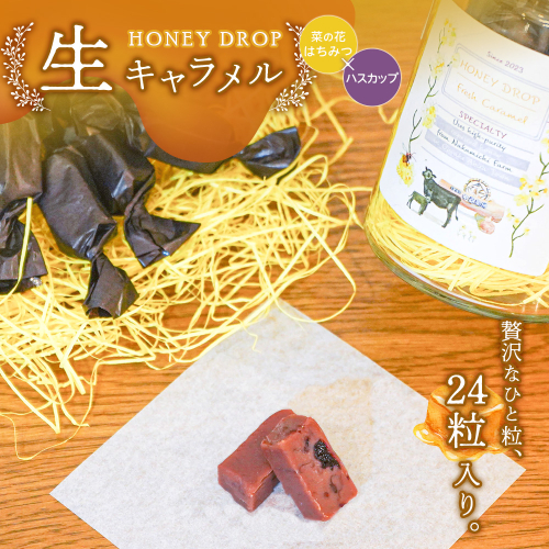 【HONEY DROP】菜の花はちみつ生キャラメル(ハスカップ)2ダース（24粒入り）【750002】 2178653 - 北海道恵庭市