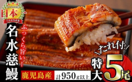 【二の丑(7/31)までに配送】鹿児島県産うなぎ蒲焼 名水慈鰻 特大5尾(1尾190g以上)＜計950g以上＞ うなぎ 鰻 ウナギ 5尾 国産 九州産 蒲焼き かばやき 冷凍 うな重 ひつまぶし タレ 山椒 ランキング 人気 c5-035-us2