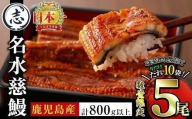 【二の丑(7/31)までに配送】【数量限定】国産うなぎ蒲焼名水慈鰻5尾（合計800ｇ以上） うなぎ 鰻 ウナギ 5尾 国産 蒲焼 かばやき 冷凍 真空 真空パック 無頭 うな重 ひつまぶし タレ 山椒 c0-124-us2
