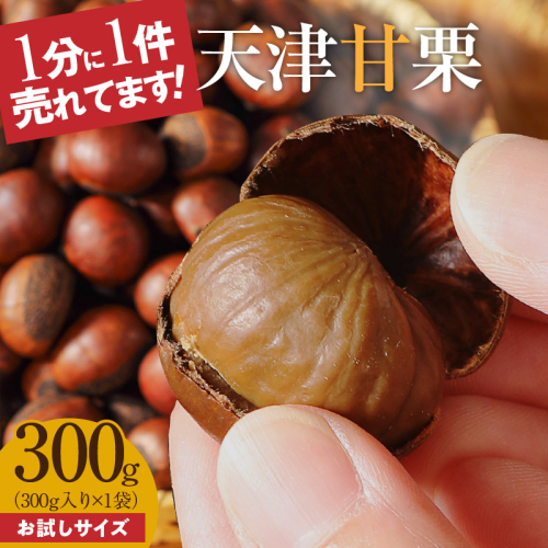 【お試し】この道50年の職人が焼く、やさしい甘みたっぷりの「天津甘栗」300g！ 保存料不使用 焼きたて 栗 くり 栗爪付き 専門店 殻付き やさしい甘み 河北省 栗 甘栗 焼き栗 お菓子 おつまみ 人気 高リピート 小分け 栗ご飯 栗きんとん 甘露煮 お取り寄せ H045-068 2179092 - 愛知県碧南市