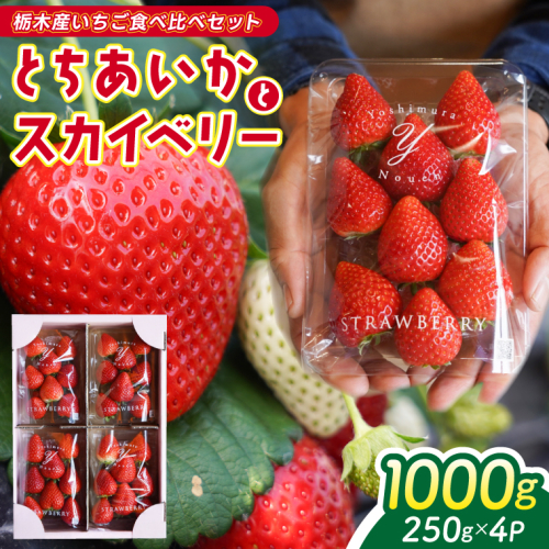 【2026年1月発送開始】【先行予約】合計1,000g 栃木県産 いちご食べ比べセット 甘くて可愛い「とちあいか」× 大粒高級「スカイベリー」 | 栃木県 ふるさと納税 いちご イチゴ 苺 果物 フルーツ とちあいか ご褒美 ハート型 熟成 スカイベリー 大粒いちご セット 食べ比べ こだわり (DS003) 2179097 - 栃木県益子町